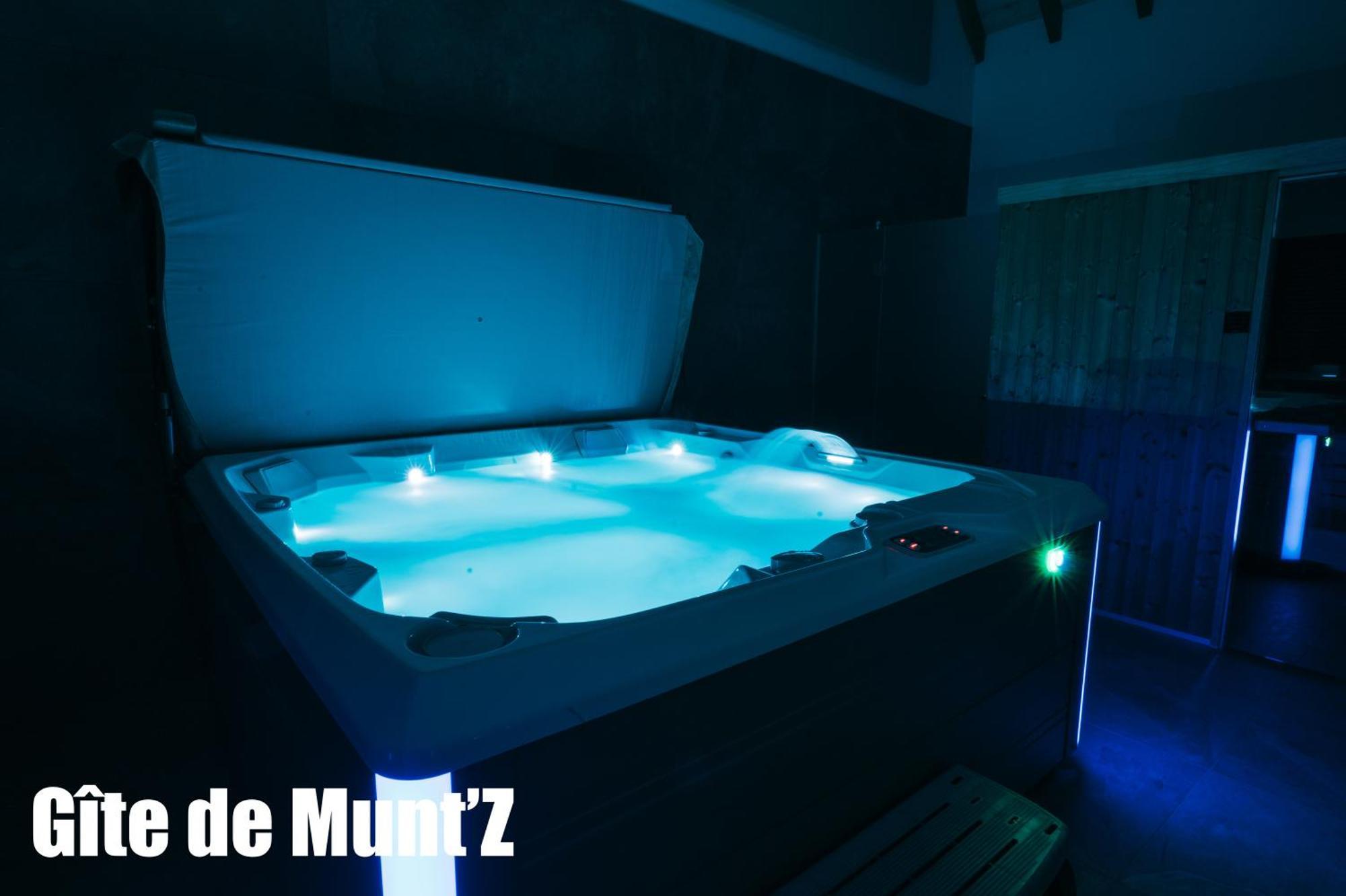 Gite De Munt'Z Spa, Sauna, Piscine, Proche De Colmar Muntzenheim Kültér fotó